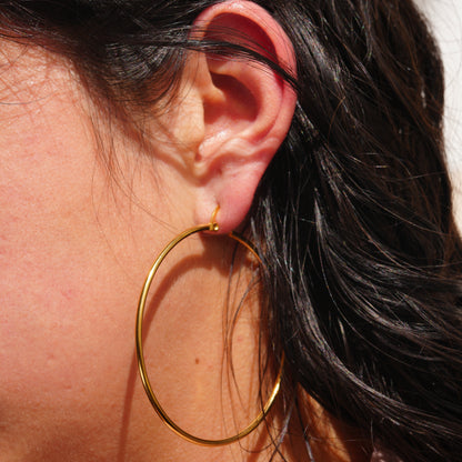 Essential Gold Hoops